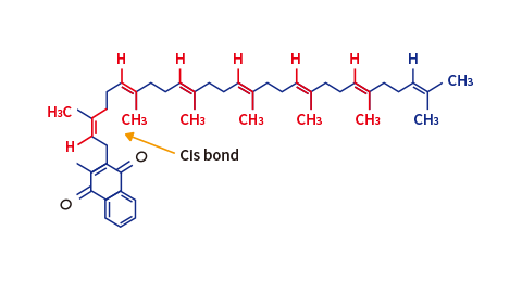 mk7 cis type structure