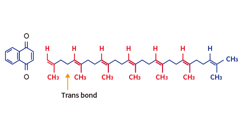 mk7 trans type structure