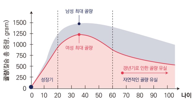 나이에 따른 골밀도 그래프