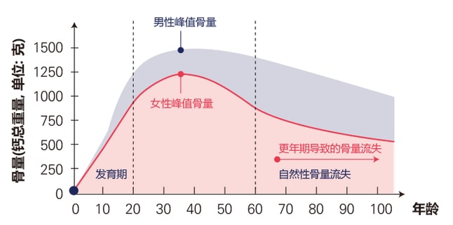 骨骼健康