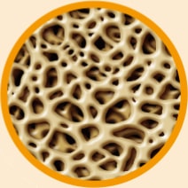 bone density