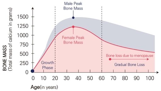 Bone density graph according to age